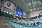 Swimming & Diving vs RWU  Swimming & Diving vs Roger Williams University. - Photo by Keith Nordstrom : Wheaton, Swimming